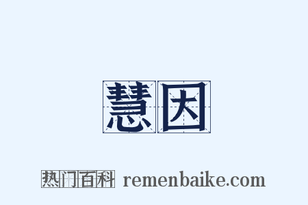 慧因是什么意思的图片